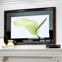 tv / mirror