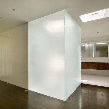 Frameless Glass Walls & Partitions
