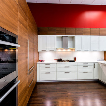 Contemporary Possibilities with Leicht