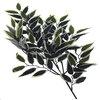 6' Variegated Smilax Executive
