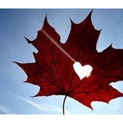 McKecks Haliburton's photo