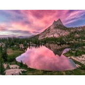 Eric Whalen's photo