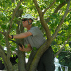 West Michigan Tree Services