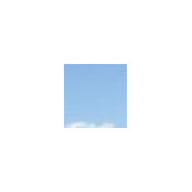 Robert Coelho's photo