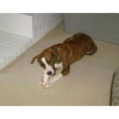 Rita Johnson's photo