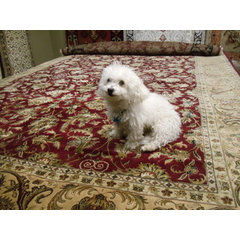 Heritage Rug Outlet