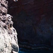 Tyler Dalley's photo