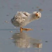 Lorre Maas's photo