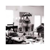 Maria Dowling's photo