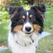 Jay Crabtree's photo