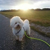 Bruni Mattis's photo