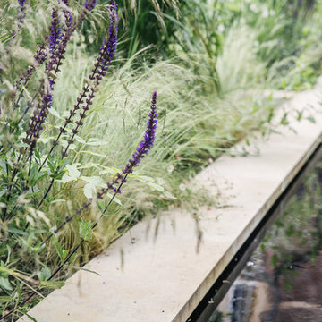 College Fields-rill-and-herbaceous-planting