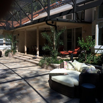 Jungle Love Pool Area