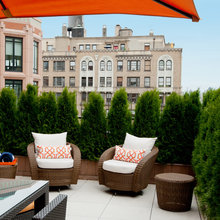 Backyard Ideas