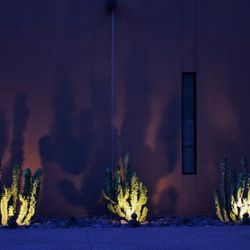 Contemporary Cactus Garden