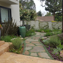 Landscape Ideas