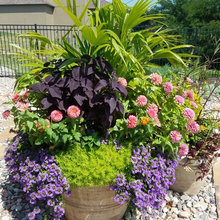 Flower Pots