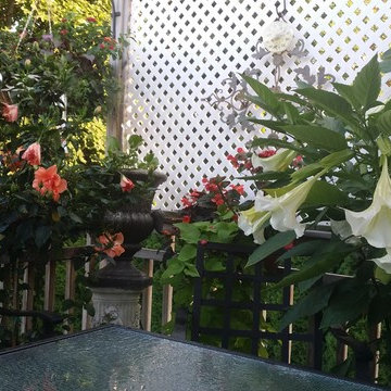 Misc. container garden pots