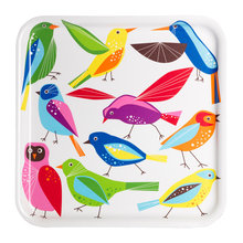 paula_driscoll's Ideas
