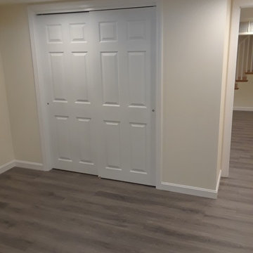 Basement Remodel By-pass doors and grey laminate flooring