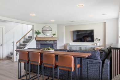 Transitional basement photo in Minneapolis