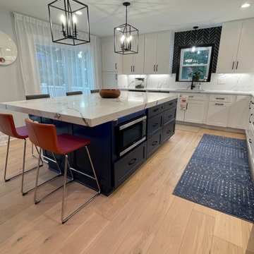 Full House Remodel in Vienna, VA
