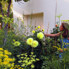 Jardín de la semana: Dalias y arte en el norte de Madrid