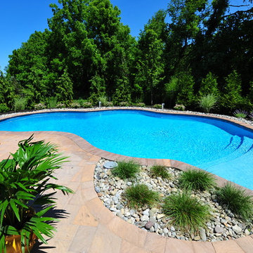 Backyard Free-Form Pool Retreat