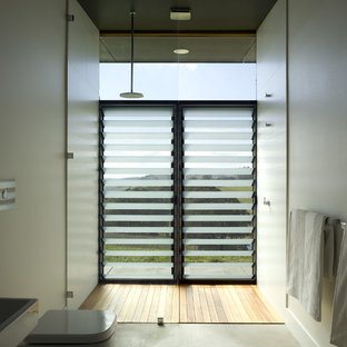 Floor To Ceiling Shower Window Houzz