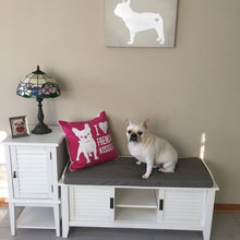 The mudroom has gone to the dog