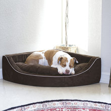 pet bed