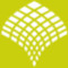 Thorus Solutions LLC