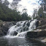 Michael Monticchio's photo