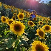 Alyssa DeFilippo's photo