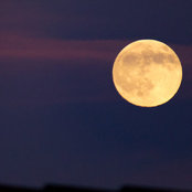 Foto de Ajay Doshi