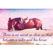 Sultan Al-touqi's photo