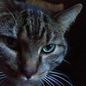 Photo de Heather Pederson