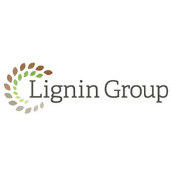 THE LIGNIN GROUP LLC