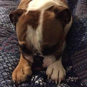 Charlie Egbert's photo