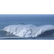 Tim Sullivan's photo