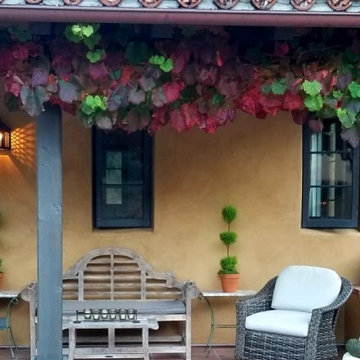 San Carlos