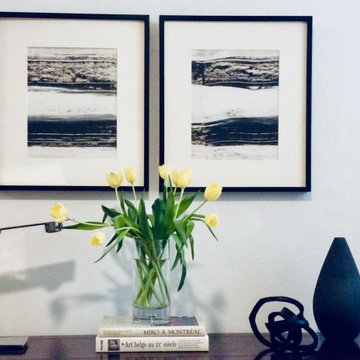 vignettes