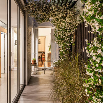 Side courtyard under a jasmine pergola