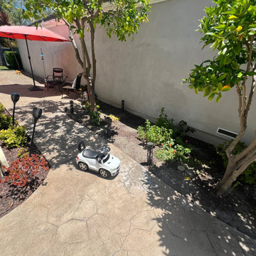 Before Picture