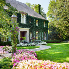 Landscape Ideas