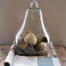 terrariums