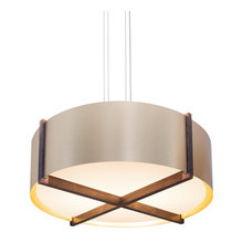 Dining room light