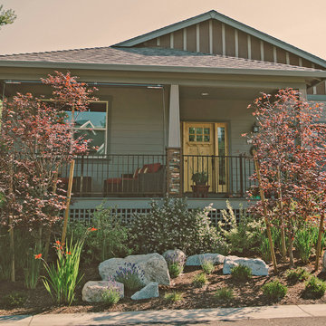 Water-wise Garden
