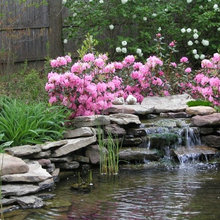 garden ponds etc