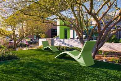 Photo of a contemporary backyard garden in Las Vegas.